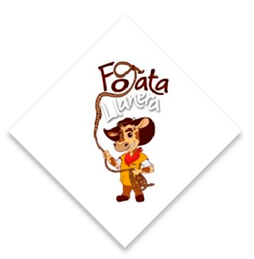 la-fogata-llanera